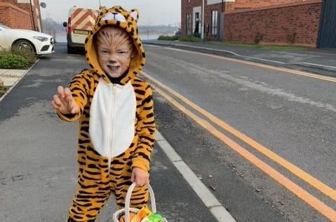 Kingsley Brown, 4, is the Tiger that came to Tea.