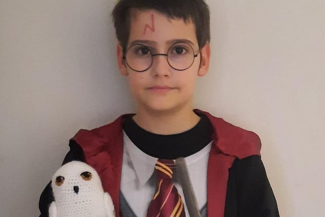 Timmy Petrie as Harry Potter, from Jessie Miles. SUS-220403-100641001