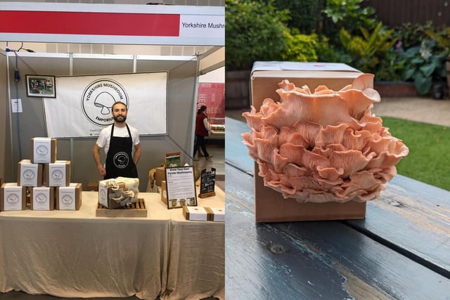 The Emporium began producing small amounts of gourmet mushrooms, selling to cafés and restaurants in Ilkley and Leeds and farmers markets. They have become an independent mushroom producer based in Leeds providing fresh, delicious and sustainably produced products including their latest grow-your-own home kits.
https://yorkshiremushroomemporium.co.uk