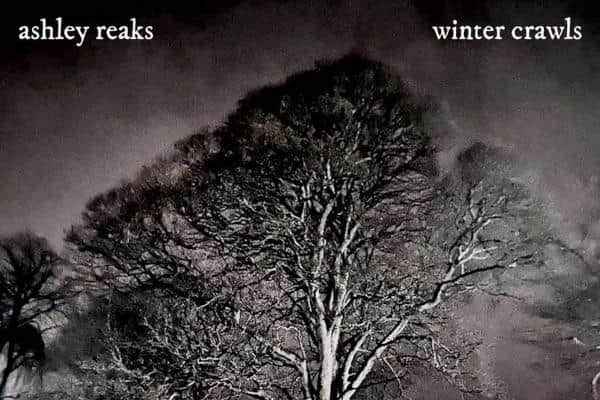 New album Winter Crawls sees Harrogate musician Ashley Reaks bring a semi-acoustic, symphonic feel to his usual maelstrom of musical and lyrical ideas. (Picture contributed)