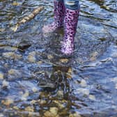 Improving water quality in Harrogate - The drilling work on the Stray is part of Yorkshire Water's ongoing programme to reduce discharges into watercourses after years of public concern. (Picture contributed)