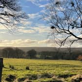 Swinton will create 55 habitat units, which will encourage a more biodiverse habitat for local wildlife and native plants
