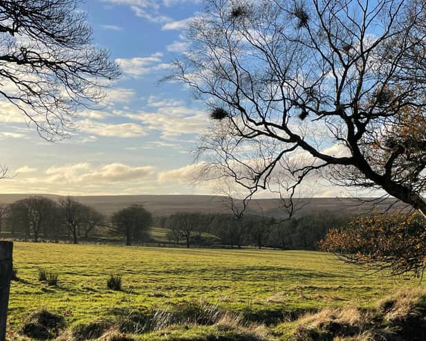 Swinton will create 55 habitat units, which will encourage a more biodiverse habitat for local wildlife and native plants