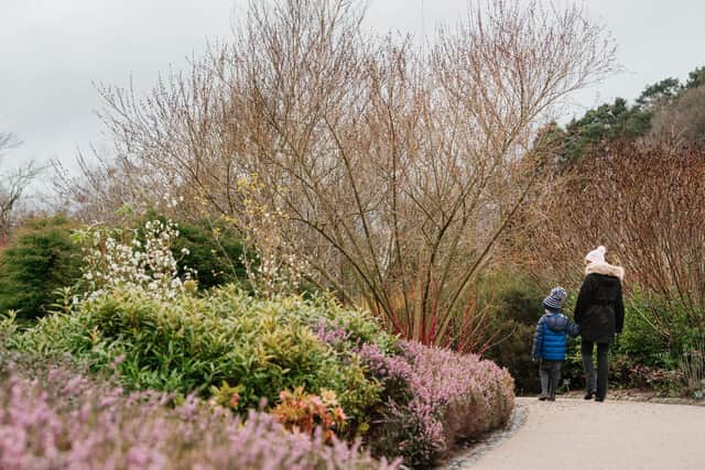RHS Garden Harlow Carr in Harrogate have joined forces with education giant Tes to launch an interactive lesson to help children connect with plants whatever the weather