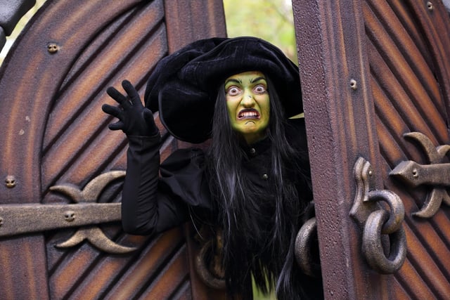 Stockeld Park boasts a wide range of terrifying activities for all ages. Explore the Enchanted Forest and the Woodland Witches or test your adventurous spirit in the Mummy Maze. Halloween begins on Saturday, October 21.