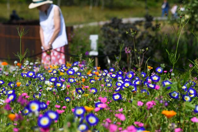 Fans of the Thursday Murder club books will be able to immerse themselves in a heady combination of homicide and horticulture at RHS Harlow Carr