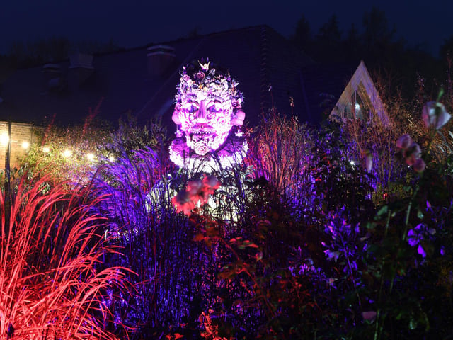 Winter illuminations have returned to RHS Harlow Carr.