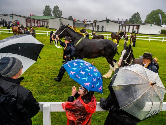 Visitors to the show sheltering from the heavy rain while watching Class 37 Shire Brood Mare, with own foal at foot