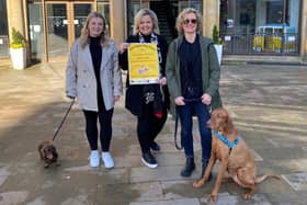 The Harrogate Dog Show, hosted by Harrogate BID, is set for a ‘pawsome’ return to the town next month