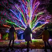 Christmas at Temple Newsam to turn gardens into a winter wonderland