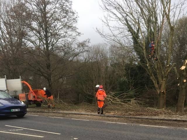 Workers preparing to fell trees off Skipton Road in Harrogate as part of Tesco's development of a new superstore. (Picture by Coun Monika Slater)
