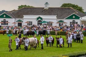​One of our regular summer highlights for Harrogate and a huge event on our destination’s annual calendar is of course the Great Yorkshire Show.