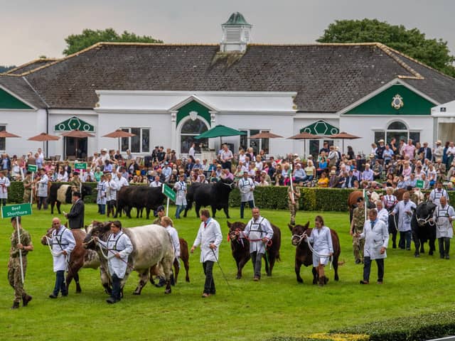 ​One of our regular summer highlights for Harrogate and a huge event on our destination’s annual calendar is of course the Great Yorkshire Show.