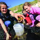 Pictured: A group explore life on the seashore Rockpooling at South Landing Beach in Flamborough.