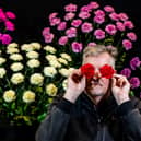 The much-loved Harrogate Spring Flower Show gets underway today (April 25) at the Great Yorkshire Showground