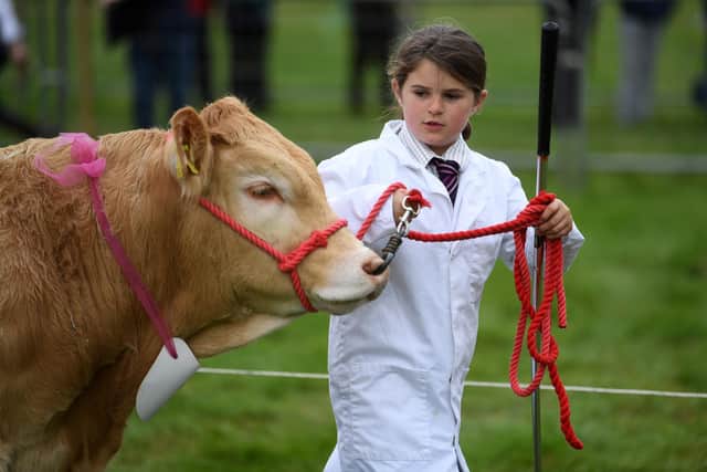 Isla Bentley, from Thirsk, taking part in the Nidderdale Show