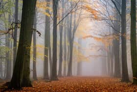 Autumn, as defined by the Earth's orbit around the Sun, officially begins on the equinox which falls on September 22, and 23.