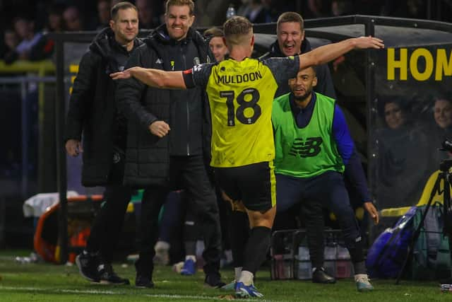 Jack Muldoon celebrates his 66th-minute equaliser against Swindon with Harrogate Town's bench.