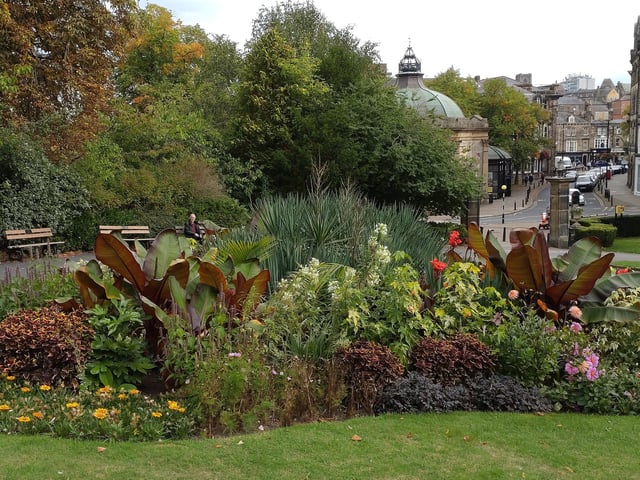 Colourful display in Valley Gardens, by Carol Cain.