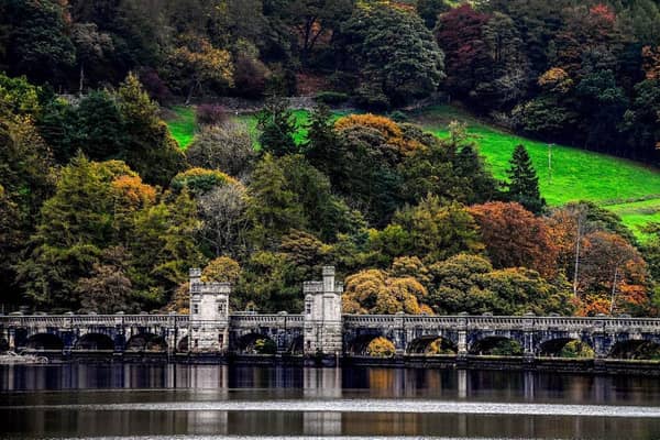 A view across Gouthwaite Reservoir in Nidderdale, North Yorkshire. (Pic credit: James Hardisty)