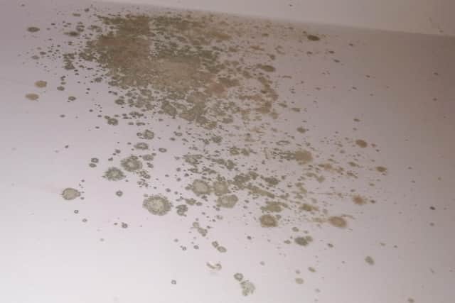 Harrogate Borough Council have paid out £18,690 in compensation to tenants living in damp or mouldy council homes