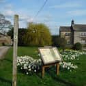 "Tended with loving care"  Located ten miles from Harrogate, Darley has a long track record when it comes to beautiful gardens. (Picture contributed)