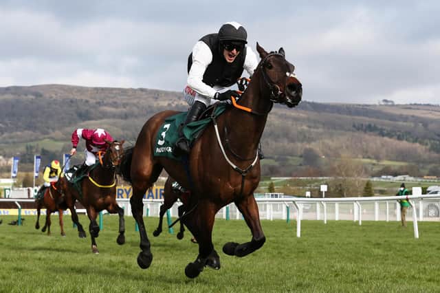 Flooring Porter ridden by Danny Mullins on his way to winning the Stayers' Hurdle on day three of the 2021 Cheltenham Festival. Picture: Michael Steele/Getty Images