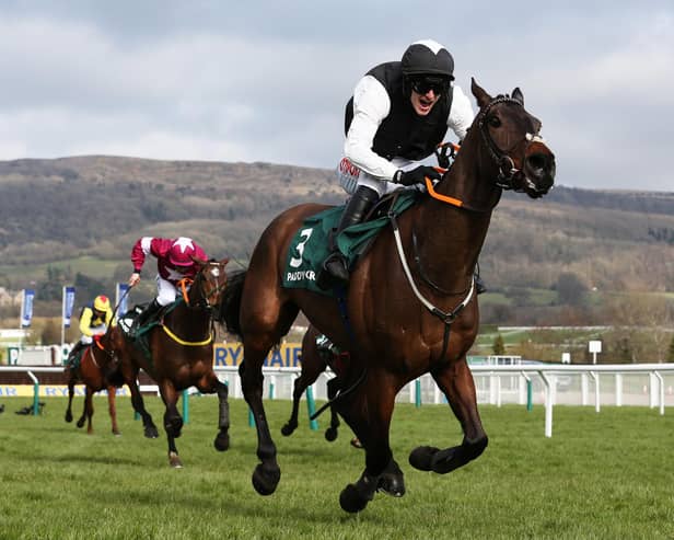 Flooring Porter ridden by Danny Mullins on his way to winning the Stayers' Hurdle on day three of the 2021 Cheltenham Festival. Picture: Michael Steele/Getty Images