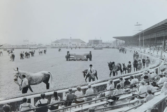 The equestrian classes in the main ring at the Great Yorkshire Show in 1981