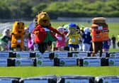 Not so slow Jo winning The Sue Ryder Mascot Gold Cup at Wetherby Races' family fun day