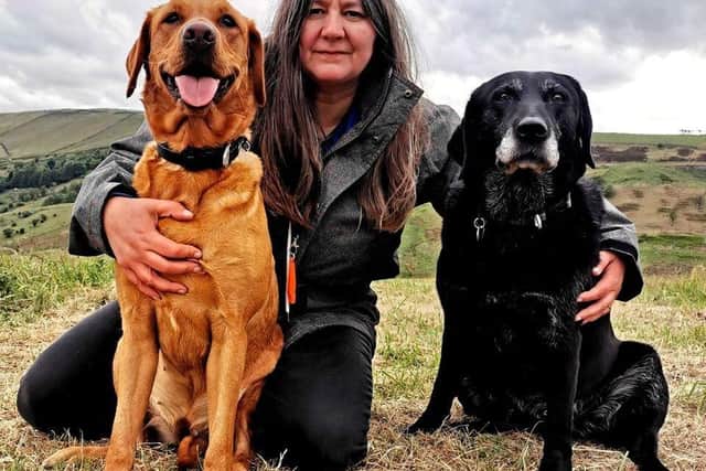Rachel Bean is giving this advice to Harrogate dog owners - Animal News Agency