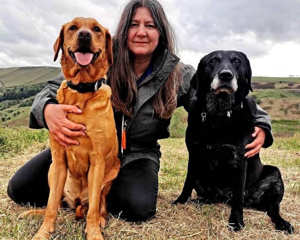 Rachel Bean is giving this advice to Harrogate dog owners - Animal News Agency