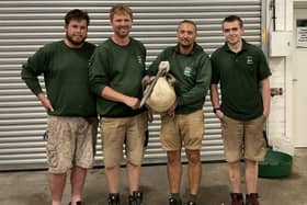 A pelican that has been missing from Blackpool Zoo for almost three weeks has been found in Knaresborough