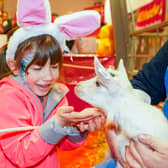 The tickets have gone on sale for the hugely popular Springtime Live which returns to Harrogate this Easter