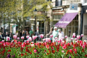 Councillors are due to consider plans to introduce town councils in Harrogate and Scarborough after a majority of householders backed the plans to introduce grassroots democracy in the two towns.