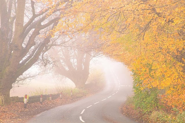 The photograph was taken of a road leading into Grewelthorpe, just outside Hackfall Wood car park.