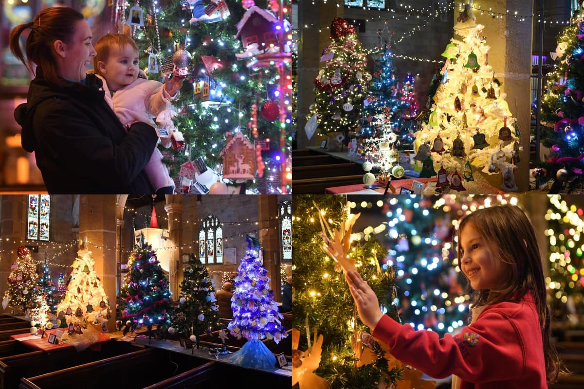 IN PICTURES Here are 15 spectacular photos from the annual Christmas Tree Festival at St John’s IN PICTURES Here are 15 spectacular photos from the annual Christmas Tree Festival at St John’s