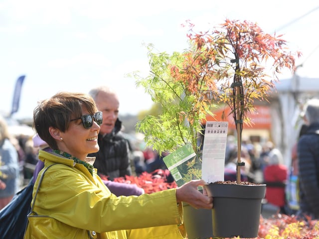 There are plenty of stalls selling a wide range of flowers and plants, making it the perfect day out for gardeners