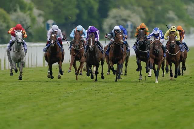 Action from the Dante Stakes at York Racecourse, where The Foxes (blue/white) triumphed ahead of Passenger (black/blue), who came in third. Picture: Alan Crowhurst/Getty Images