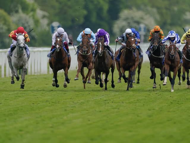 Action from the Dante Stakes at York Racecourse, where The Foxes (blue/white) triumphed ahead of Passenger (black/blue), who came in third. Picture: Alan Crowhurst/Getty Images