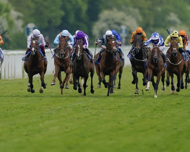 Action from the Dante Stakes at York Racecourse, where The Foxes (blue/white) triumphed ahead of Passenger (black/blue), who came in third. Picture: Alan Crowhurst/Getty Images
