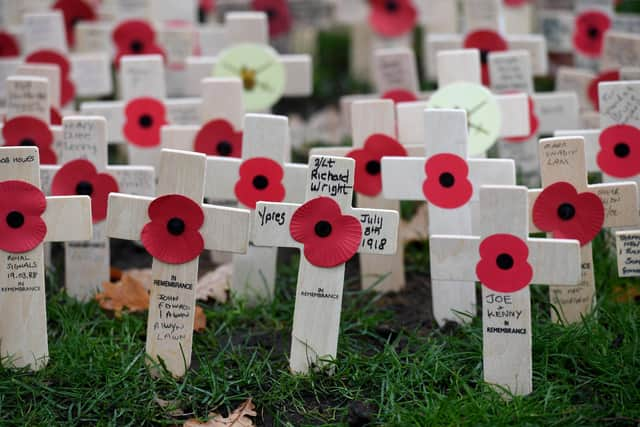 Poppies in the War Memorial garden in Harrogate