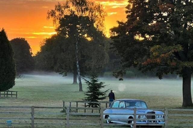 New Classic Car and Motor Show to take place at Thorp Perrow Arboretum