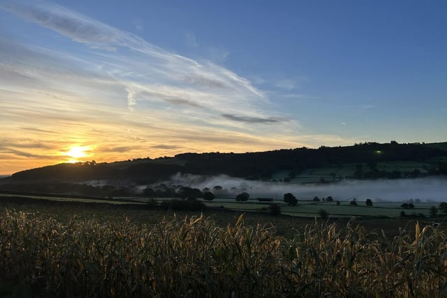 Nidderdale in Autumn is especially picturesque with incredible photo opportunities to capture memories of the day.