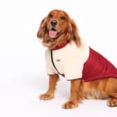 Rufus & Rosie Explorer Jacket - Now £7.50