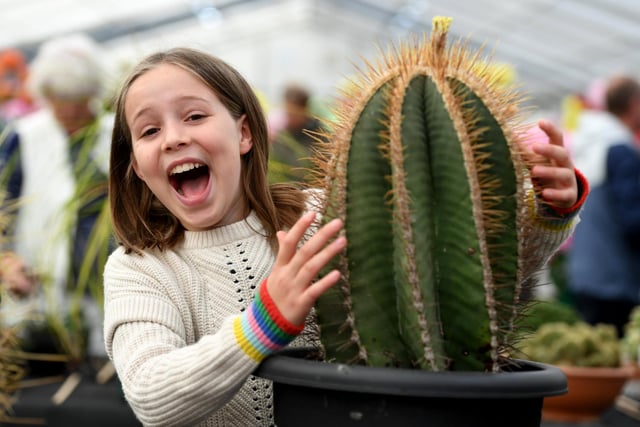 Charlotte Bingham (aged ten) checks out the spikes on a prize winning cactus