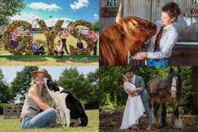We take a look at 15 photos from the first day of the Great Yorkshire Show 2025 as the popular event returned to Harrogate