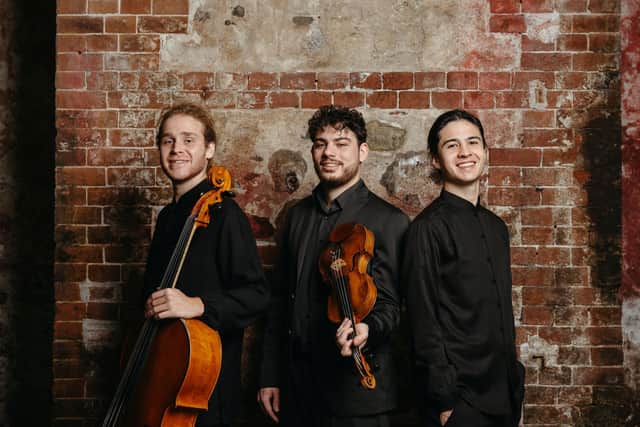 The Young Musicians Series gets under way at the Wesley Centre with the acclaimed Trio Concept, performing works by Bloch, Ravel and Mendelssohn, on Thursday June 27 (credit: Luigi Di Palma)