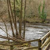 The Guardian reported on Saturday that the River Nidd in North Yorkshire received untreated sewage discharges from at least seven treatment works. (Picture Adrian Murray)