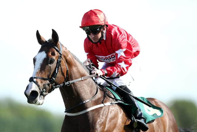 Spirit Fieldturf Turf Talk: Spirit Dancer can win the longest-running commercially ...